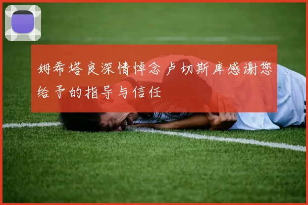 姆希塔良深情悼念卢切斯库感谢您给予的指导与信任